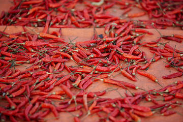 Fototapeta premium Red chili pepper 