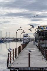 pier on the lake