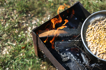 food on the fire