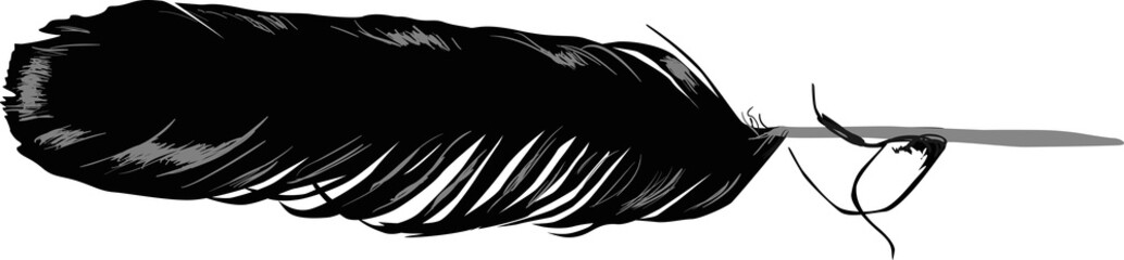 crow feather black silhouette on white
