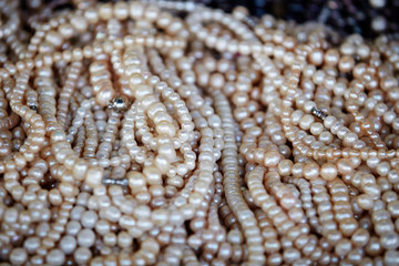 White pearl necklace 