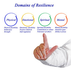 Domains of Resilience..