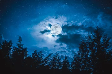 Foto auf Acrylglas Beautiful night sky with many stars and full moon. Serenity background. © kdshutterman