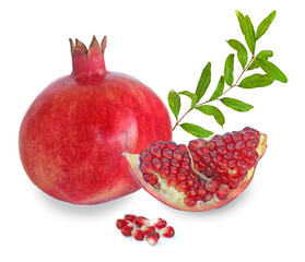 Pomegranate fruit and twig  isolated on white background