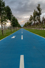 Fototapeta premium road in the park