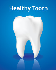 Healthy tooth, Dental care concept, Realistic design illustration Vector.