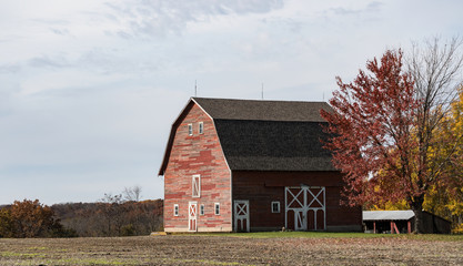 Obraz premium Old Red Barn in the Countryside