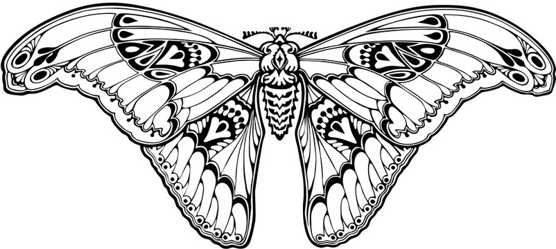 recommend clip art: Butterfly in art nouveau style