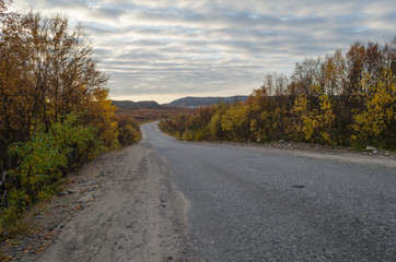 Fototapeta premium The dirt road is surrounded by autumn forest.