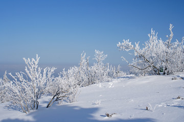 Winter landscape on the Feldberg in the Taunus, Germany.