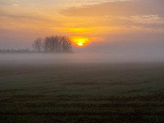 Fototapeta na wymiar Morning fog at sunrise inn Hortobágy National Park, Hungary