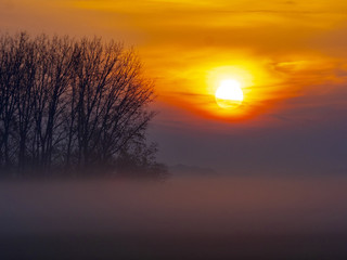 Morning fog at sunrise inn Hortobágy National Park, Hungary