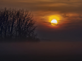 Morning fog at sunrise inn Hortobágy National Park, Hungary