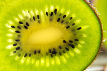 Green fresh kiwi fruit sliced piece stands backlit, healthy diet, new year resolution concept