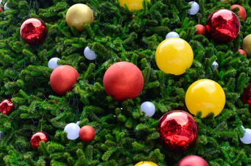 Obraz premium Christmas tree decorates with red, gold and yellow baubles for Christmas holiday on December in Bangkok Thailand.