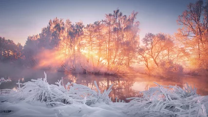 Foto op Canvas Winterlandschap bij zonsopgang © dzmitrock87