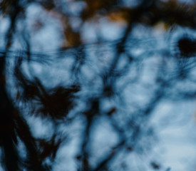 Abstract natural bokeh background.