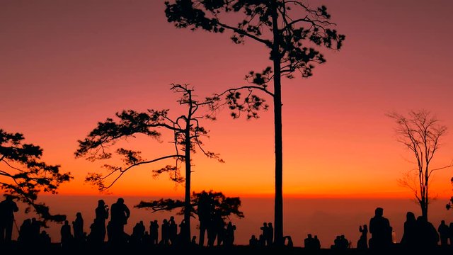 the silhouette of Tourists are waiting to see sunrise at pha Nok Aen viewpoint Phu Kradueng National Park, Loei, Thailand