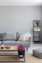 Real photo of a natural living room interior with a sofa, lavender and coffee table. Empty wall, place your painting