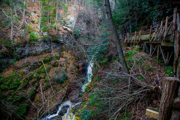 Bushkill Falls