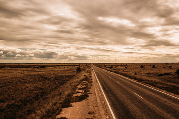 Fototapeta na wymiar straight road through the nullarbor of Australia, South Australia, Australia