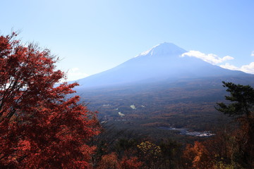 Fototapeta premium 朝陽を浴びた紅葉と富士山