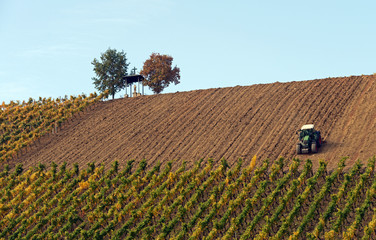 herbstliche Arbeit im Weinberg bei Dettelbach am Main © aro49