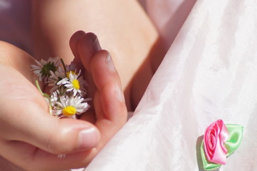 daisies in hand