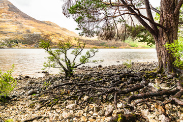 Fototapeta na wymiar Loch Maree, Highlands, Scotland