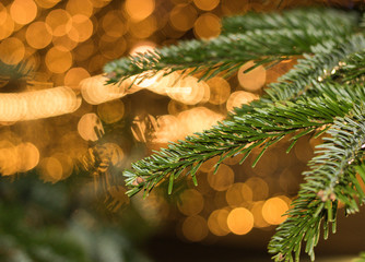 Close-up: green branch of Christmas tree is on blurry background of festive lights of a night city street. Concept: Merry Christmas and Happy New Year holidays. © Olga