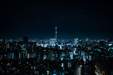 Tokyo night view with Tokyo Skytree on the background, shot from an observation deck in Bunkyo district