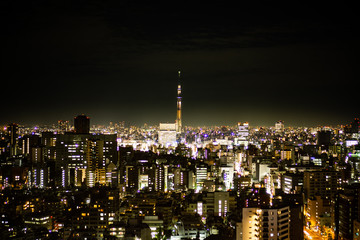 Fototapeta na wymiar Tokyo night view with Tokyo Skytree on the background, shot from an observation deck in Bunkyo district