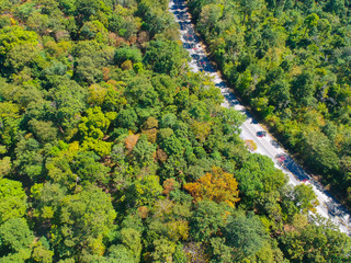 Aerial view on a road in a forest at countryside.