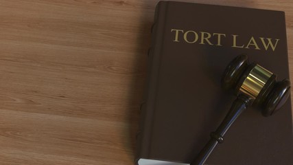 TORT LAW book and court gavel. 3D animation