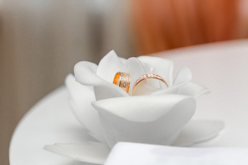 Fototapeta na wymiar Two wedding rings, Engagement rings, Wedding rings on white flower background