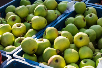 green apples at the farmers market