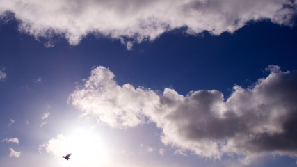 Big clouds & sunlight