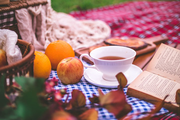 Summer picnic with a basket of food on blanket in the park.