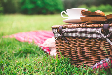 Summer picnic with book and food on wicker basket in the park.
