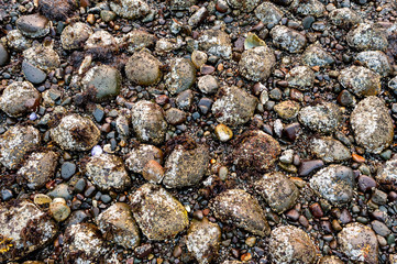 Detail of rocks on a beach