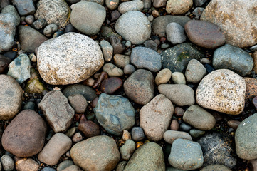 Detail of rocks on a beach