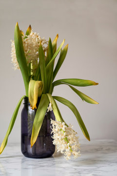 Sagging White Flowers Dying in a Vase on a Gray Background