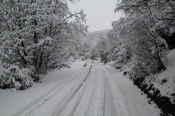 Obraz premium Lago Hermoso, Siete Lagos, San Martin de los Andes, Neuquen, Patagonia Argentina