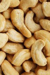 Organic Cashew with no shell on a background