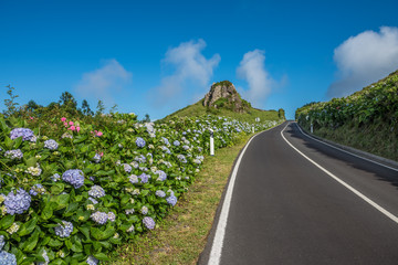Road to the sky, Flores Island, Azores, Portugal