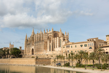 Fototapeta na wymiar Gotische Kathedrale von Palma, im Vordergrund ein Palmenpark