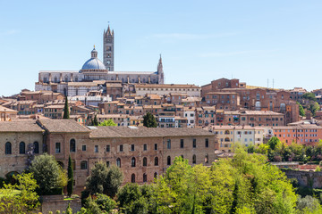 Fototapeta na wymiar View of the city of Siena in Italy Duomo di Siena