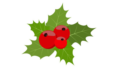 Christmas berries and green leaf. Vector illustration.