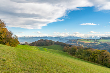 Wanderweg entlang eines Feldes mit Blick auf die Schweizer Alpen