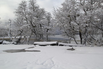 Nieve en Lago Falkner, Villa La Angostura, San Martin de los Andes, Siete Lagos, Neuquen, Patagonia...